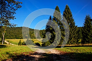 Grass and trees KoÃÂevski Rog or KoÃÂevje Rog